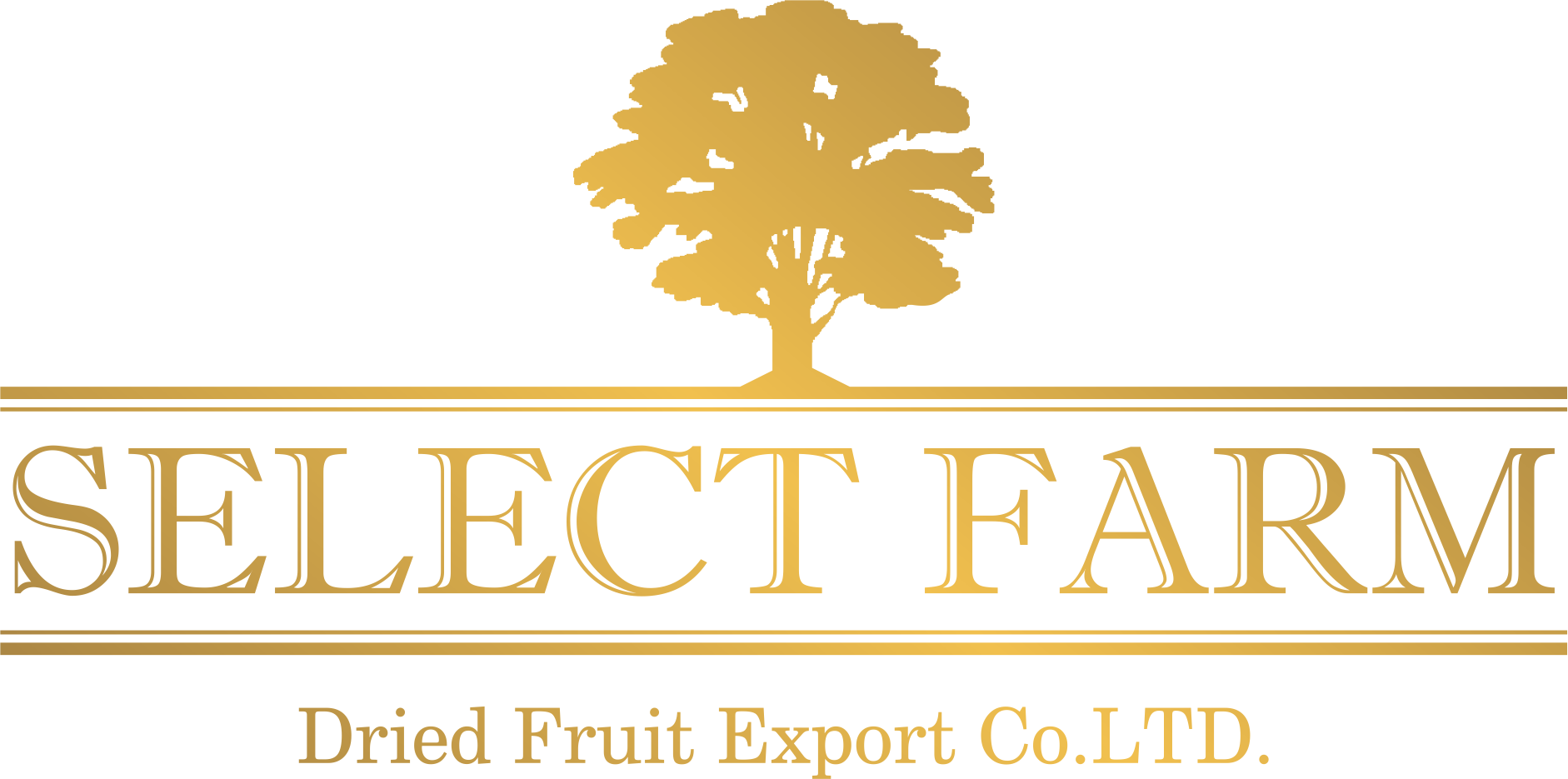 DRIED FRUIT EXPORT  SINCE 1988  